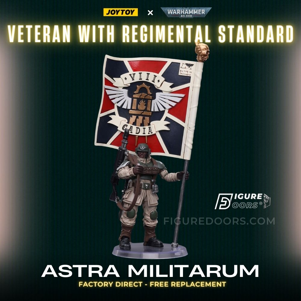 Veteran with Regimental Standard